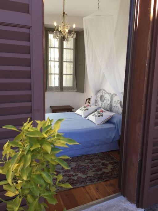 Il Drago Al Roseto Del Drago Villa San Bernardo  Dış mekan fotoğraf