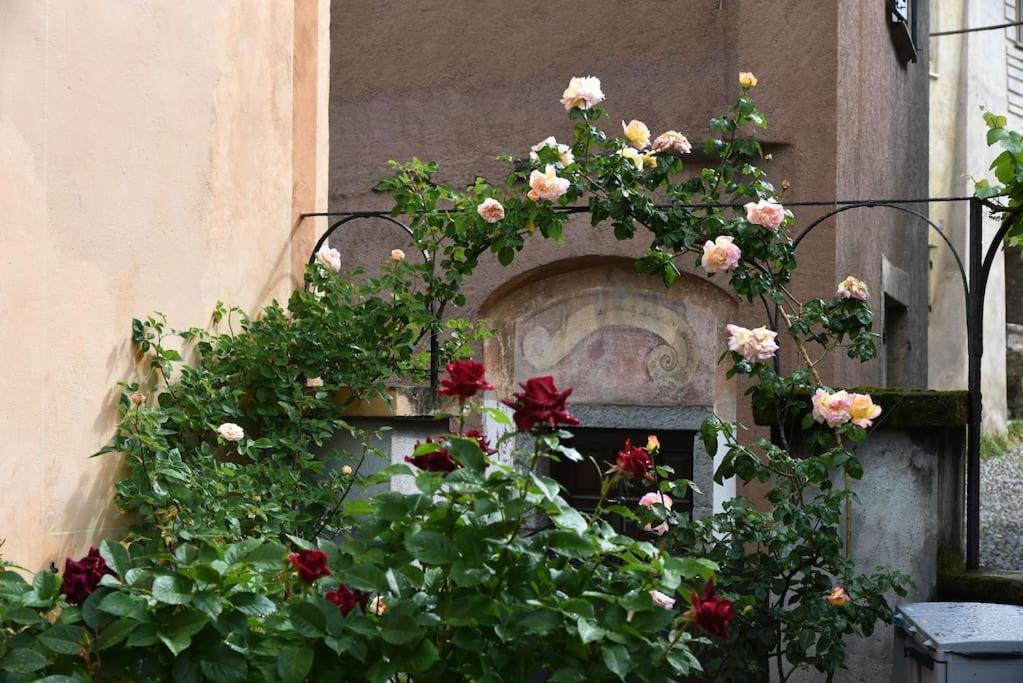 Il Drago Al Roseto Del Drago Villa San Bernardo  Dış mekan fotoğraf