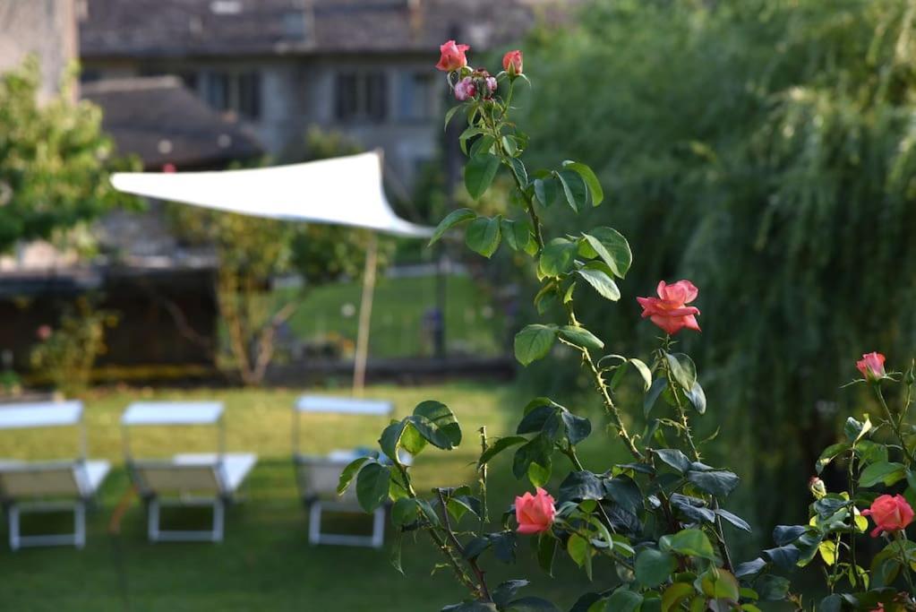 Il Drago Al Roseto Del Drago Villa San Bernardo  Dış mekan fotoğraf