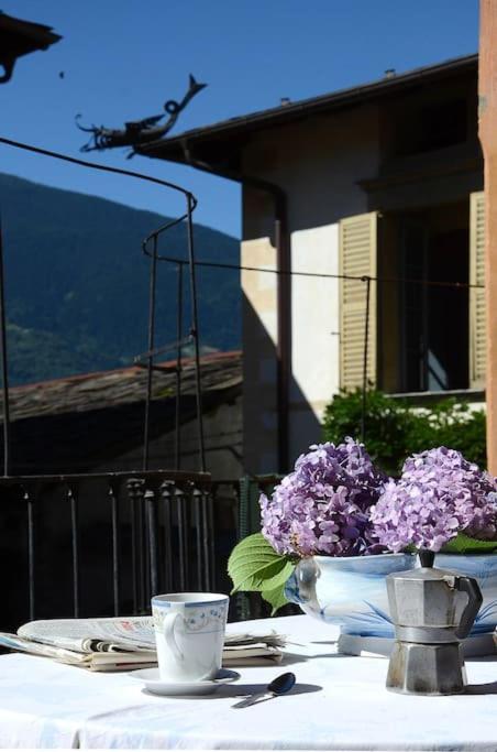 Il Drago Al Roseto Del Drago Villa San Bernardo  Dış mekan fotoğraf