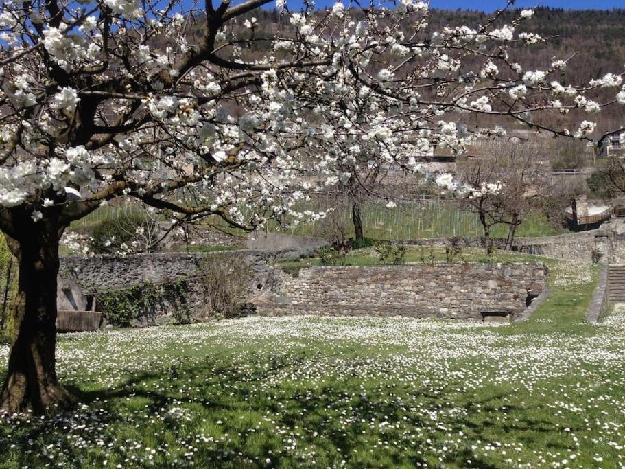 Il Drago Al Roseto Del Drago Villa San Bernardo  Dış mekan fotoğraf